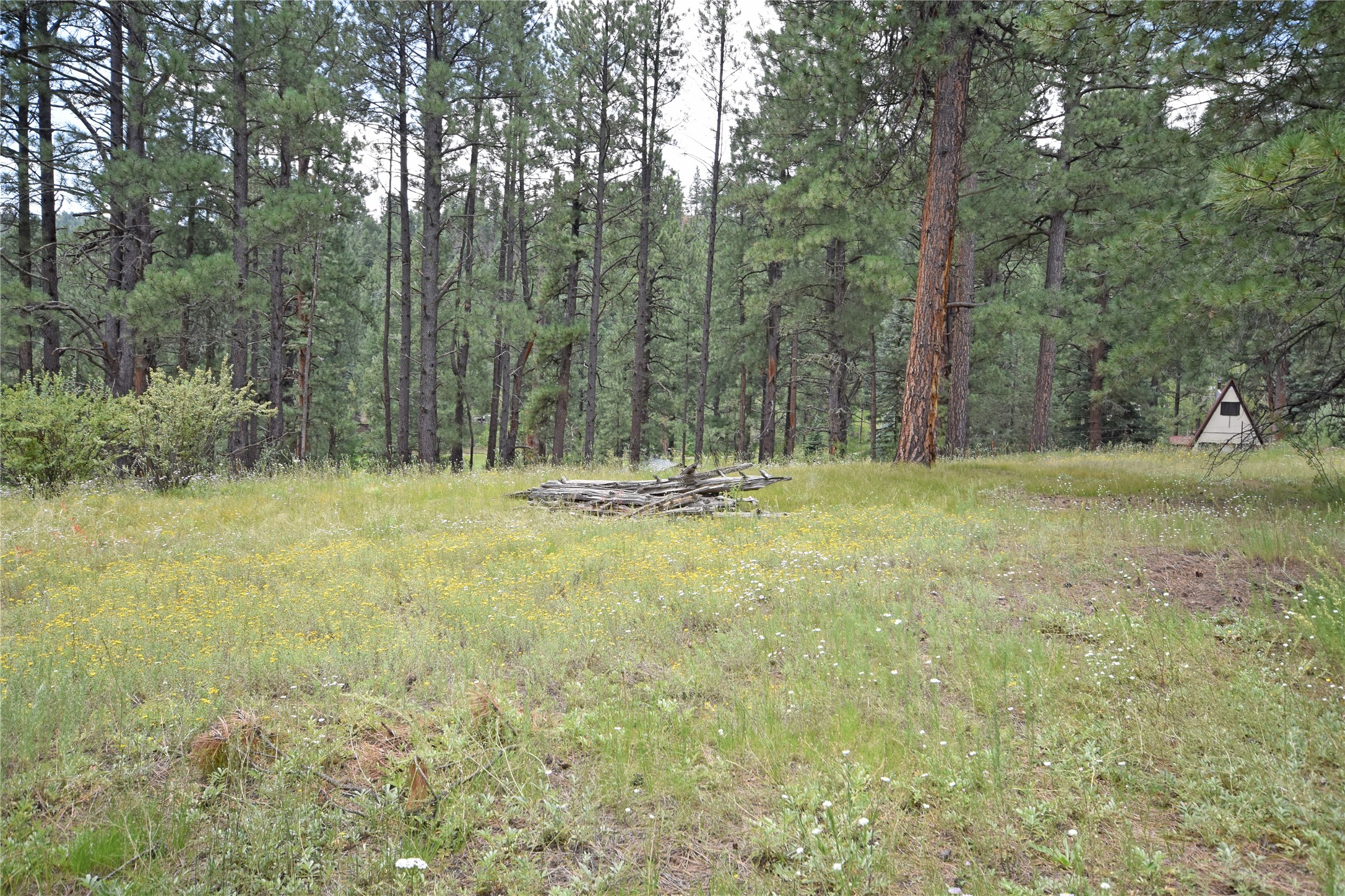 Lot 7 Hidden Valley Road, Jemez Springs, New Mexico image 9