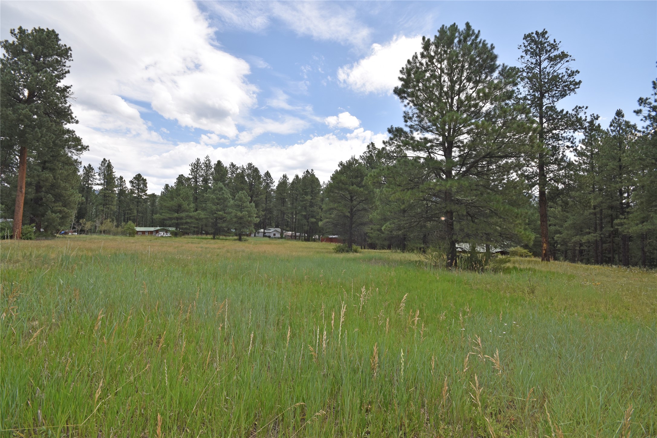 Lot 7 Hidden Valley Road, Jemez Springs, New Mexico image 12