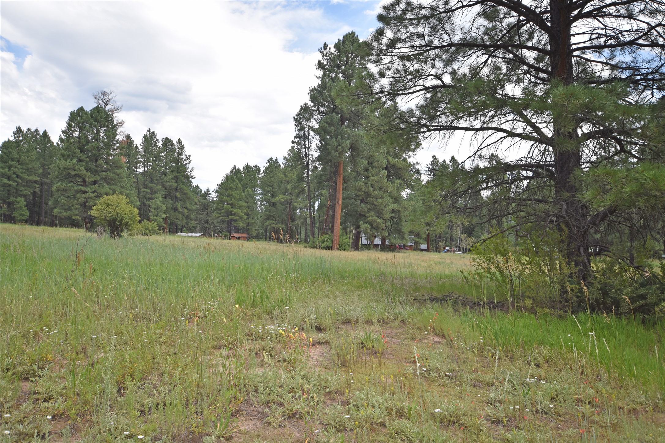 Lot 7 Hidden Valley Road, Jemez Springs, New Mexico image 4