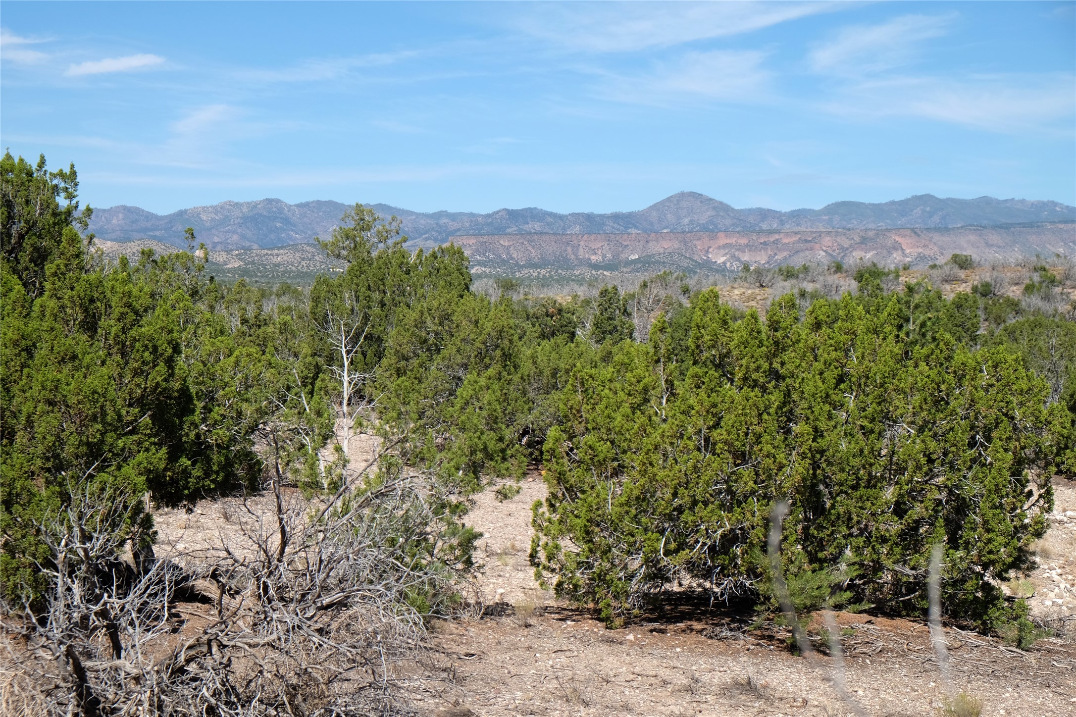 6038 (Lot 322) Hoochaneetsa Plaza, Cochiti Lake, New Mexico image 3