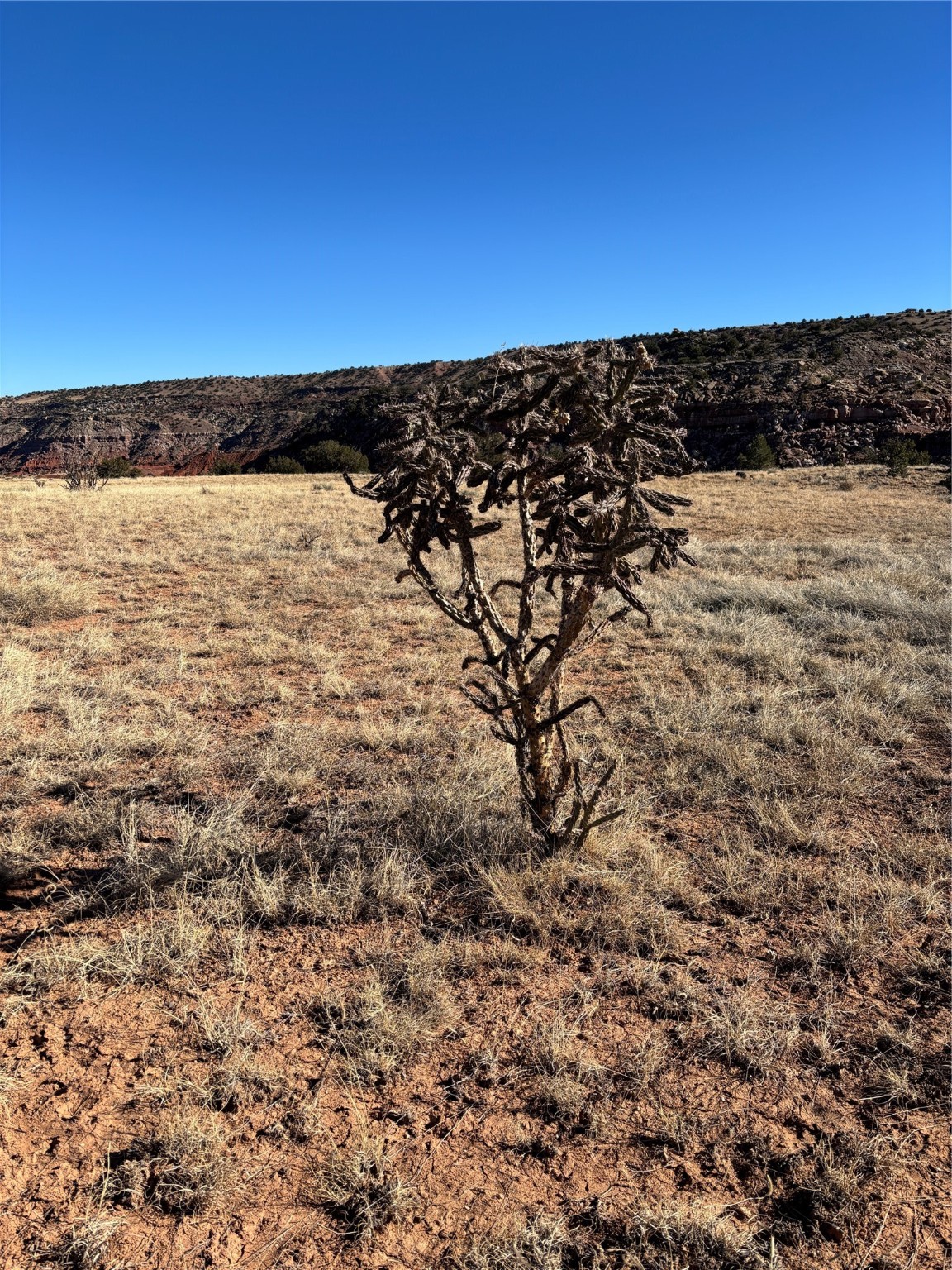 Lot 14 Tbd, Youngsville, New Mexico image 8