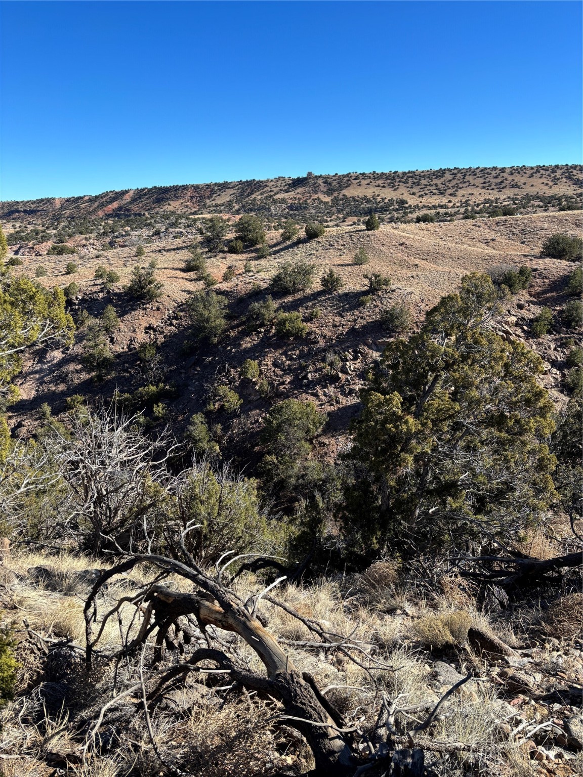 Lot 14 Tbd, Youngsville, New Mexico image 2