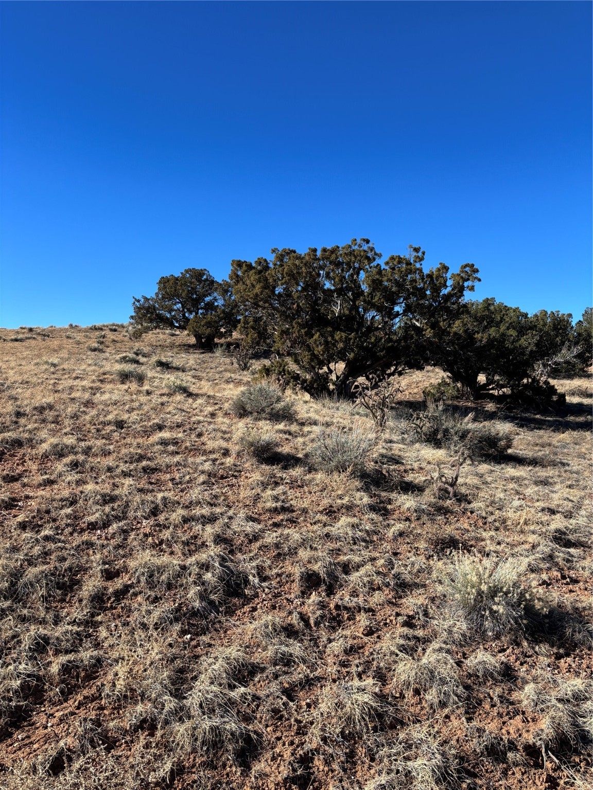 Lot 14 Tbd, Youngsville, New Mexico image 16