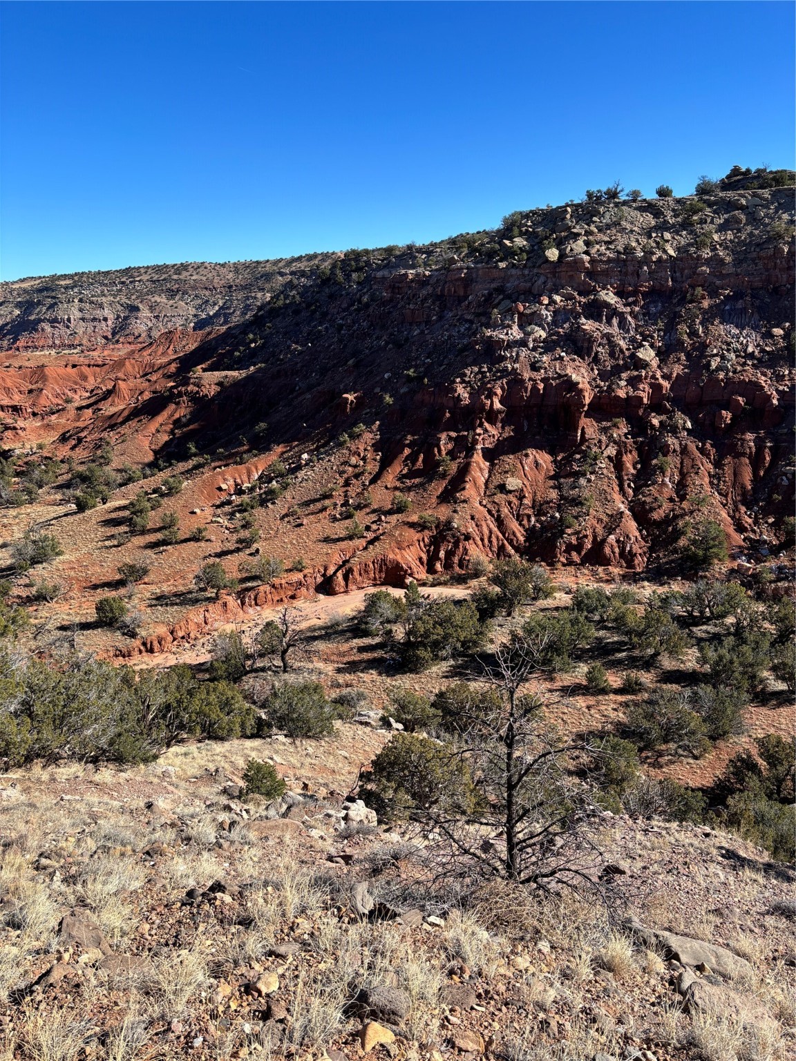 Lot 14 Tbd, Youngsville, New Mexico image 9