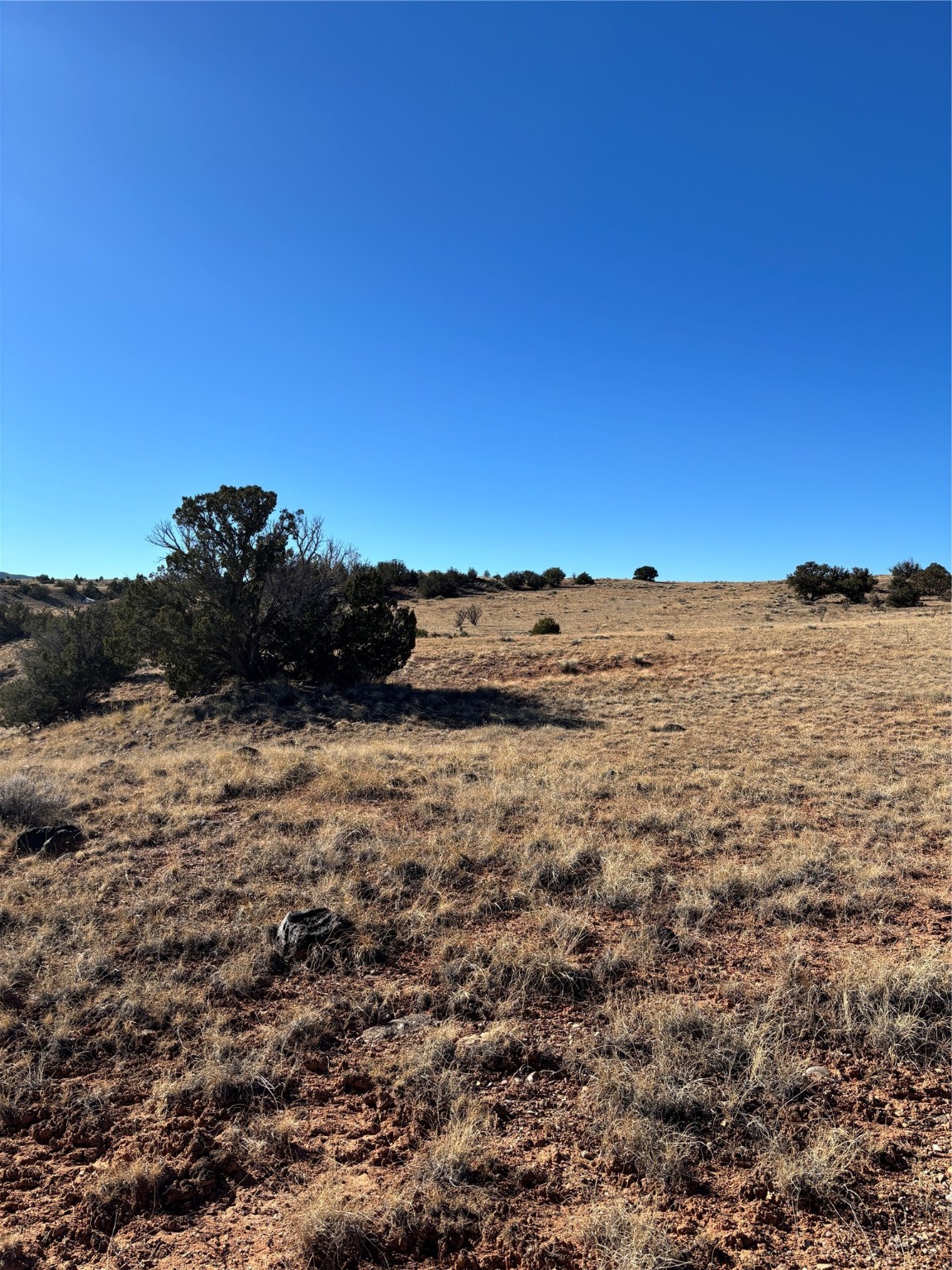 Lot 14 Tbd, Youngsville, New Mexico image 13