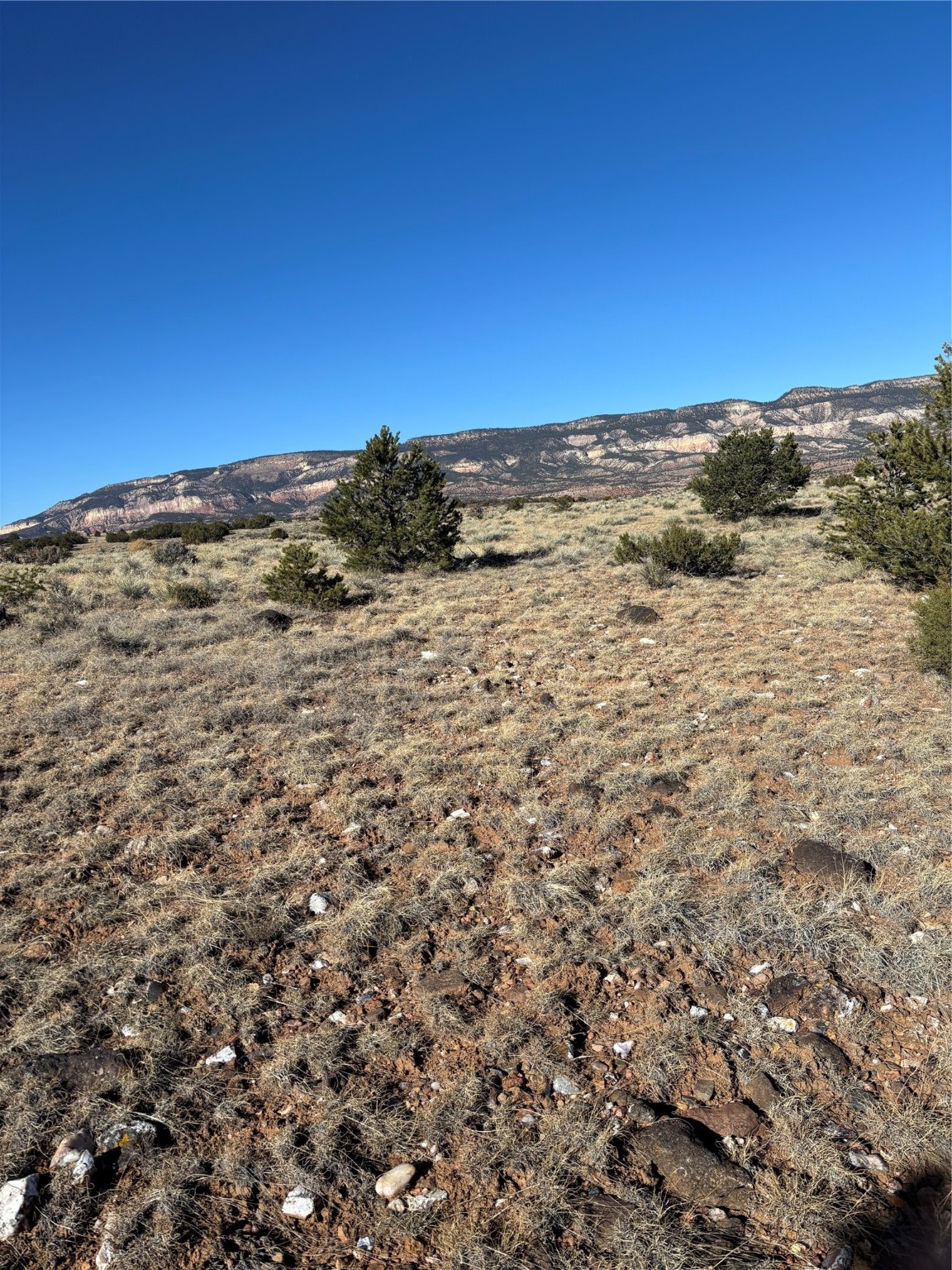 Lot 14 Tbd, Youngsville, New Mexico image 14