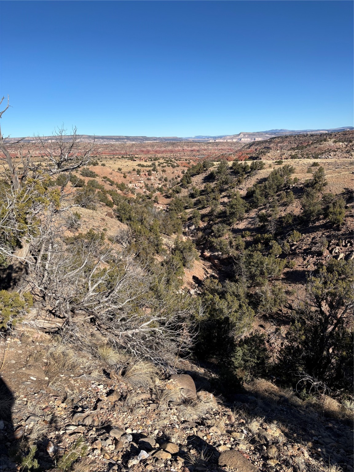 Lot 14 Tbd, Youngsville, New Mexico image 10