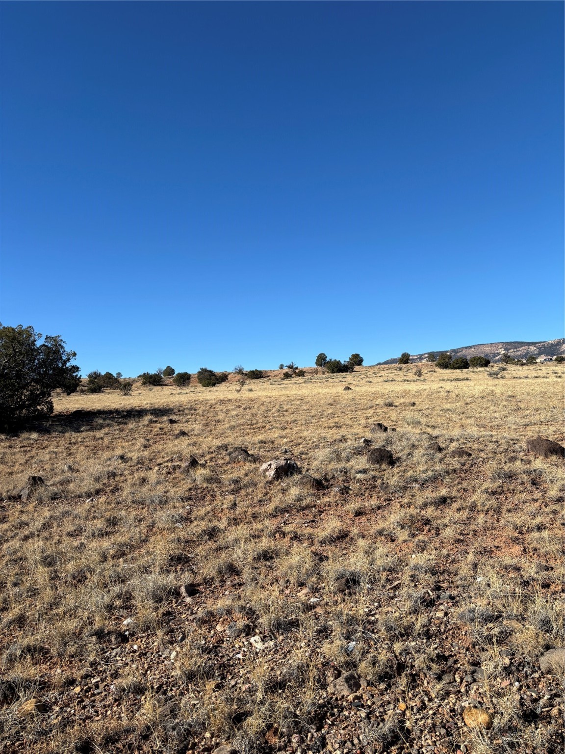 Lot 14 Tbd, Youngsville, New Mexico image 11