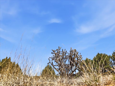 Tiny photo for 23 Black Canyon Road, Santa Fe, NM 87508 (MLS # 202602354)