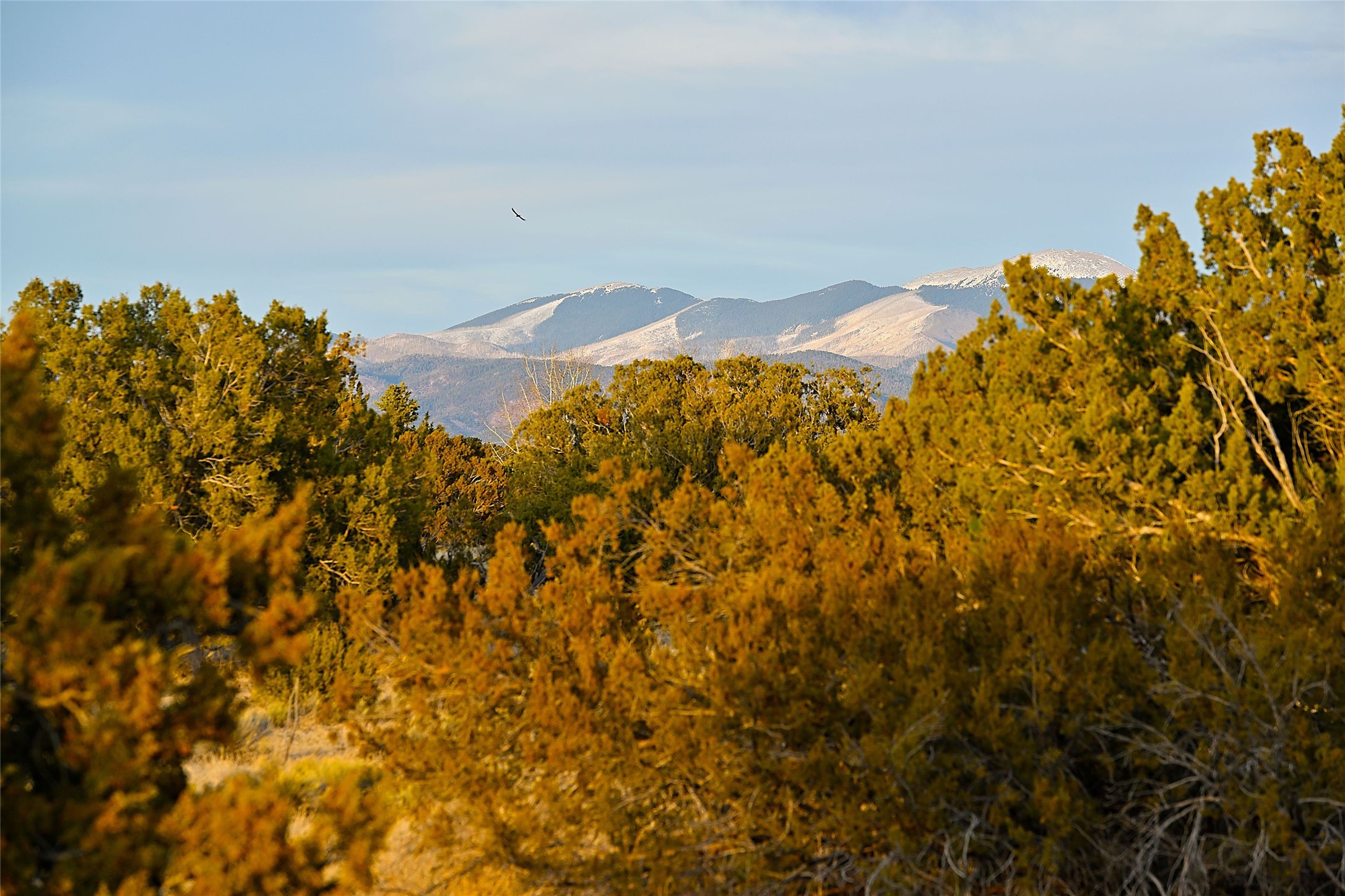 136 Thundercloud Road, Santa Fe, New Mexico image 3