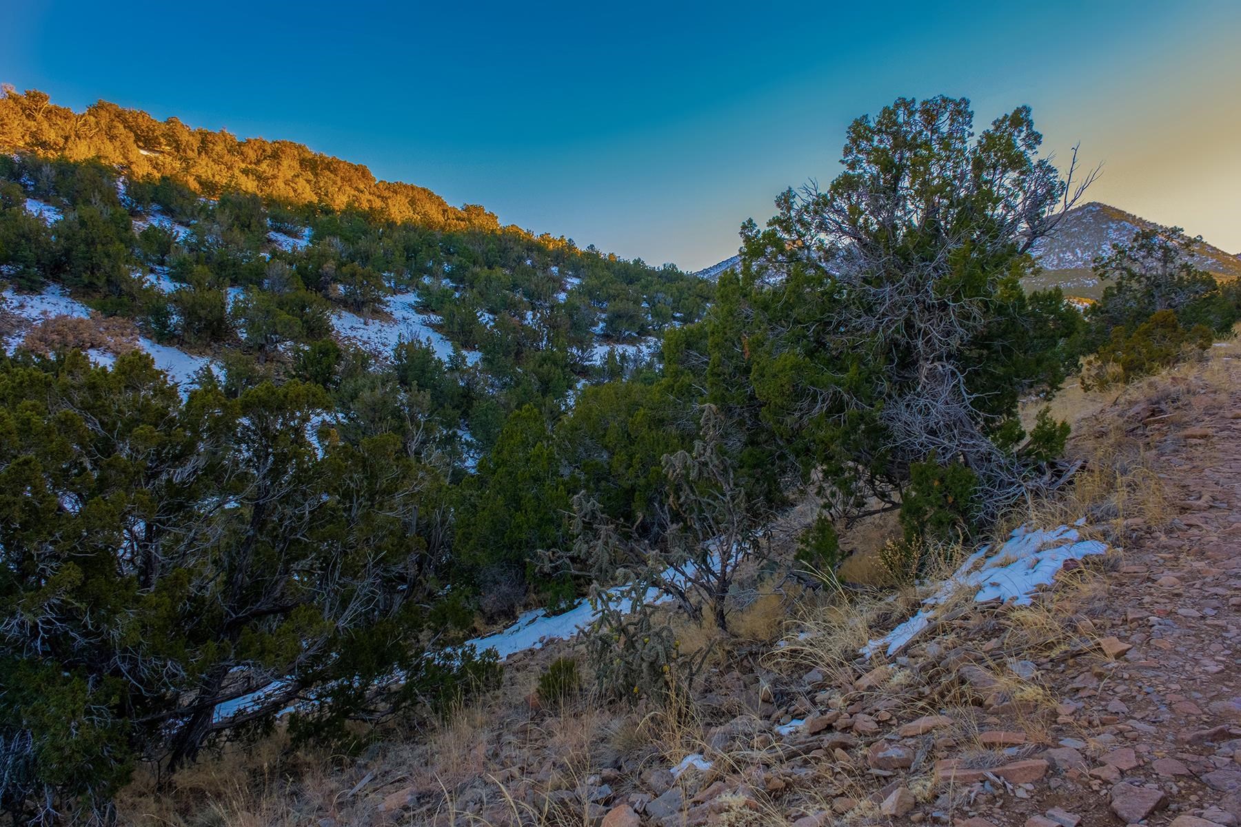 144 Cedar Mountain Rd, Cerrillos, New Mexico image 10