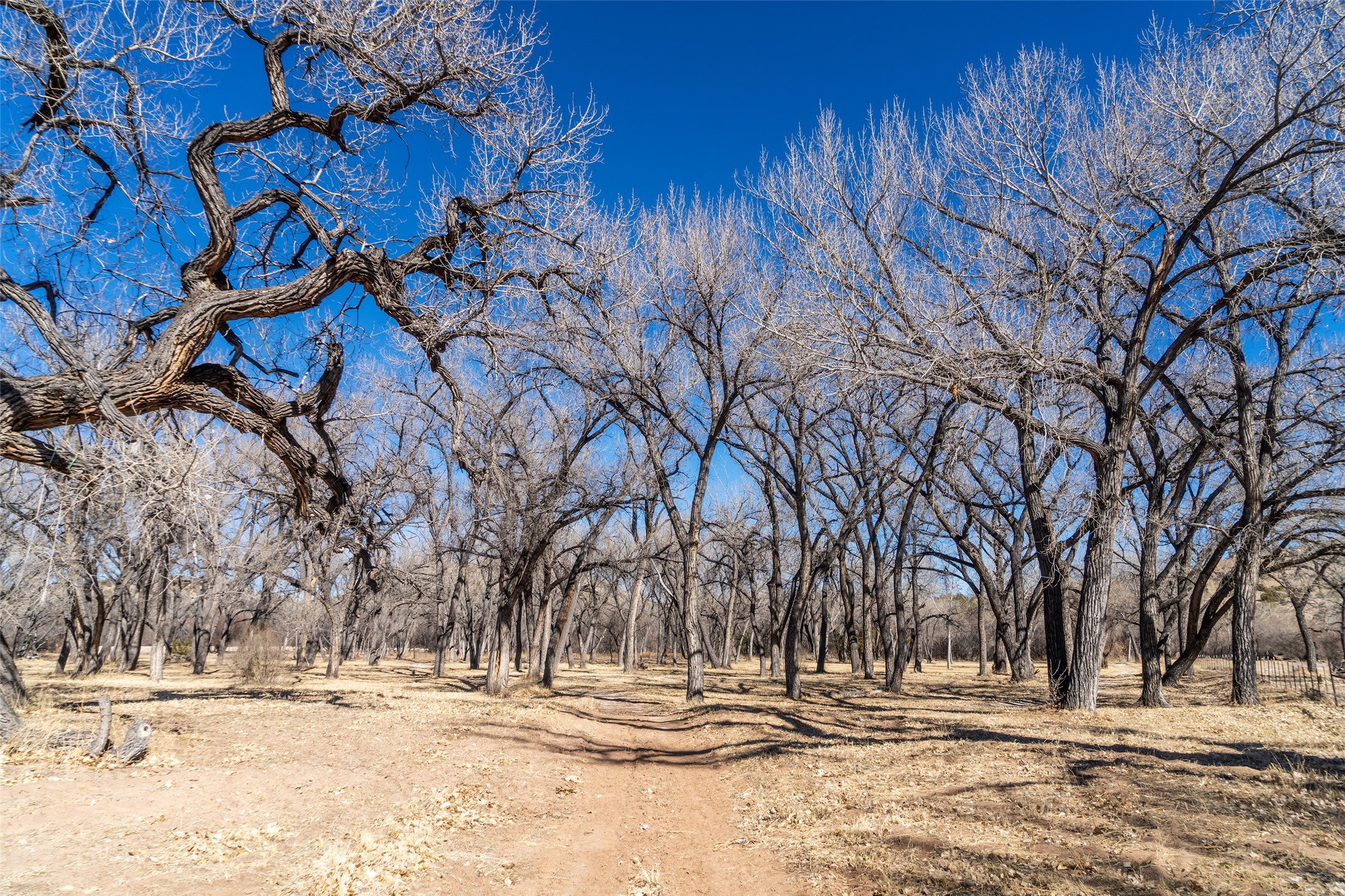 20118 B And C Us Hwy 84, Hernandez, New Mexico image 32