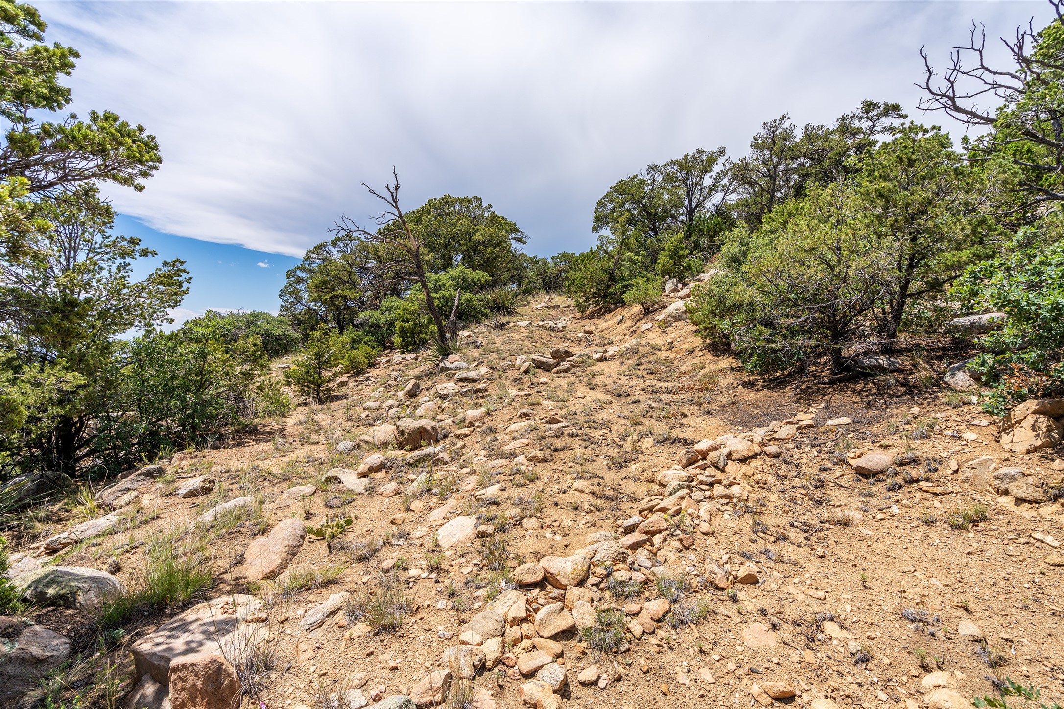 21 Ridge Drive, Santa Fe, New Mexico image 18