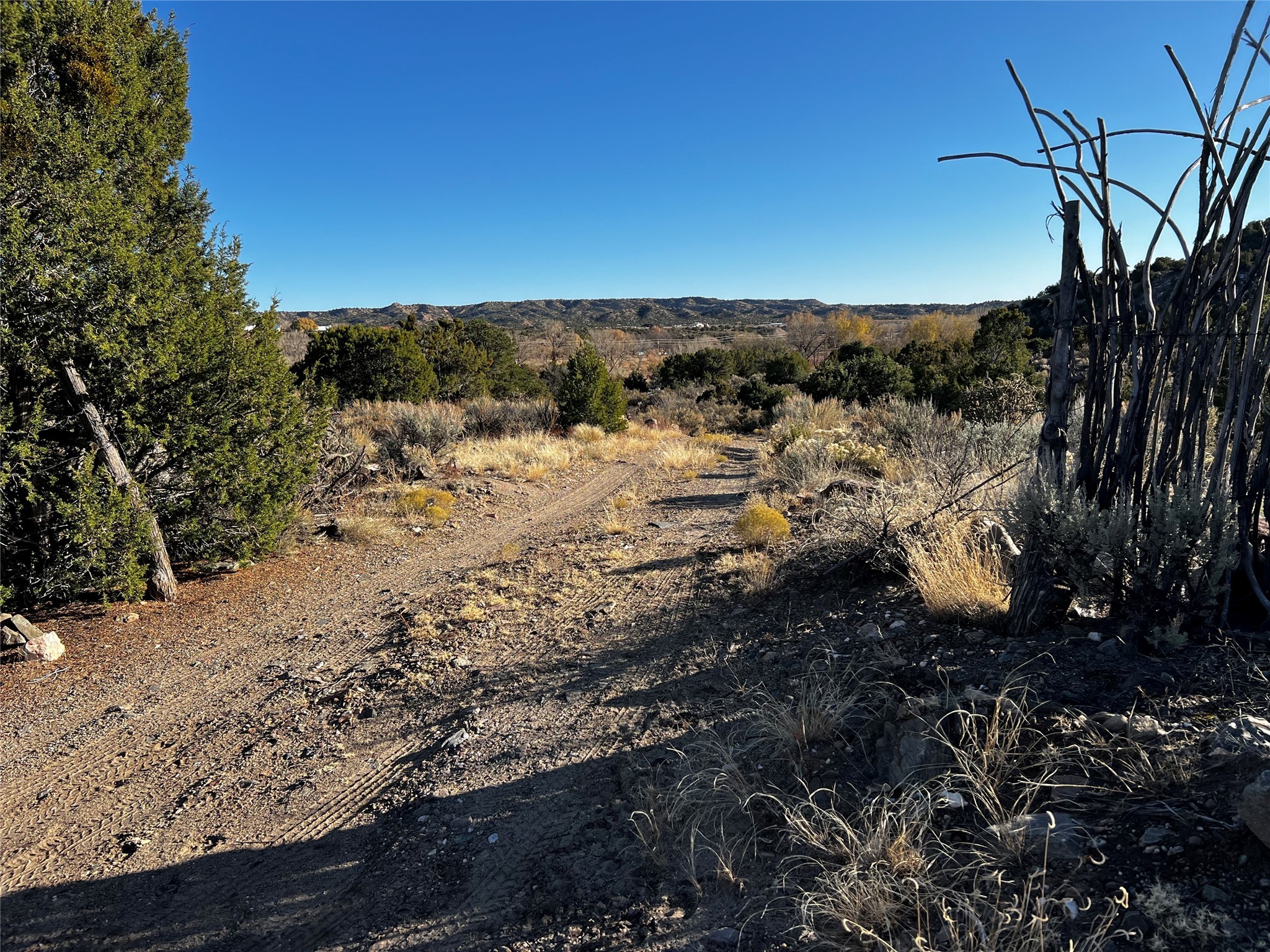 087 Hwy 111, Ojo Caliente, New Mexico image 3