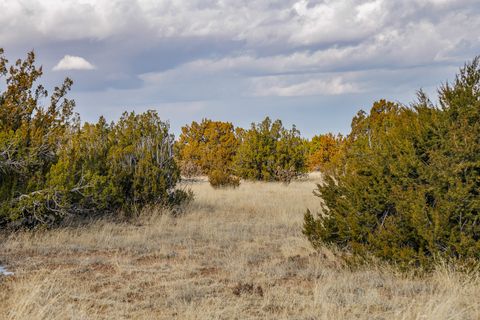 Tiny photo for 156 Wagon Trail Rd, Cerrillos, NM 87010 (MLS # 202500242)