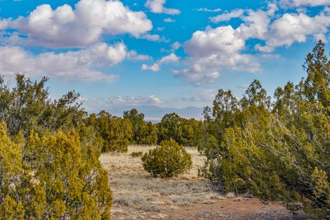 Tiny photo for 156 Wagon Trail Rd, Cerrillos, NM 87010 (MLS # 202500242)