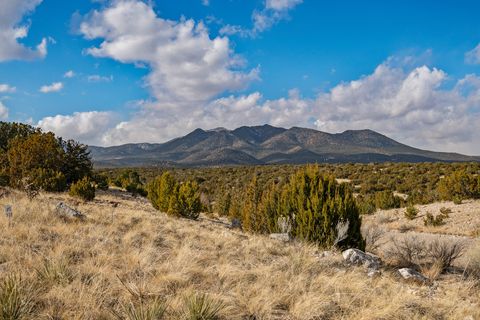 Tiny photo for 156 Wagon Trail Rd, Cerrillos, NM 87010 (MLS # 202500242)