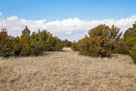 Tiny photo for 156 Wagon Trail Rd, Cerrillos, NM 87010 (MLS # 202500242)