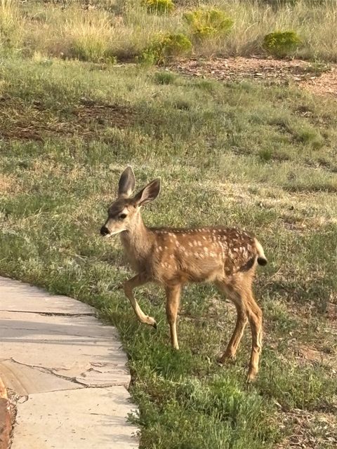 Tiny photo for 5 Estrella De La Manana, Santa Fe, NM 87508 (MLS # 202601175)