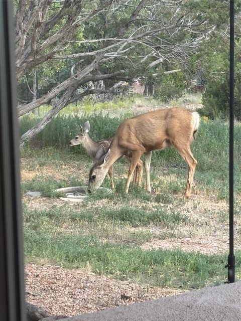 Tiny photo for 5 Estrella De La Manana, Santa Fe, NM 87508 (MLS # 202601175)