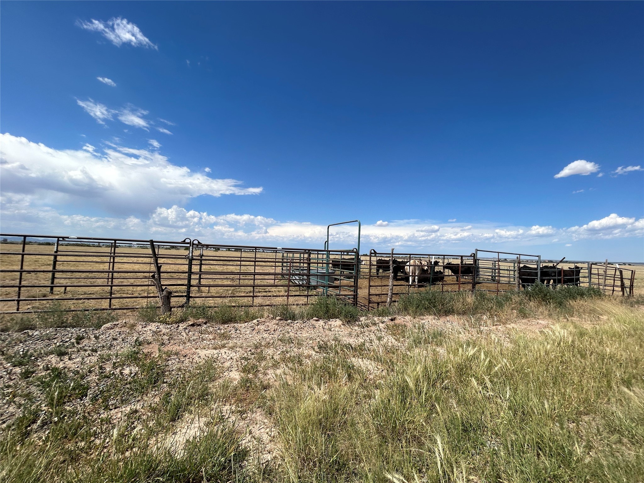 Martinez Road #LOT A, Moriarty, New Mexico image 3