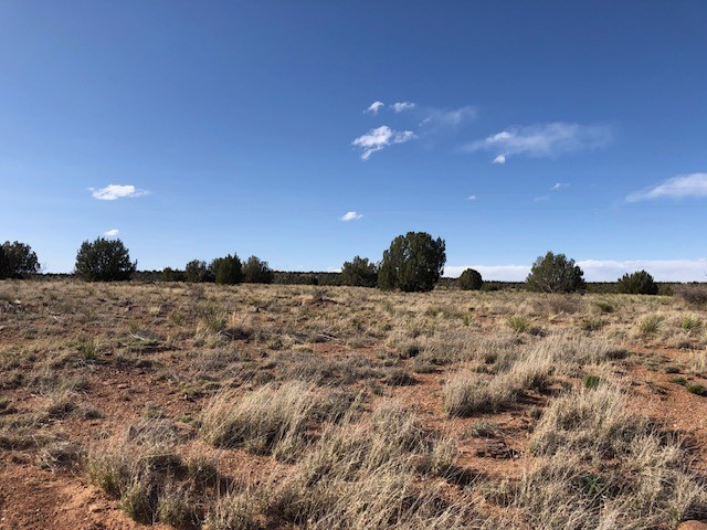 160 Acres Nm 104, Trementina, New Mexico image 45