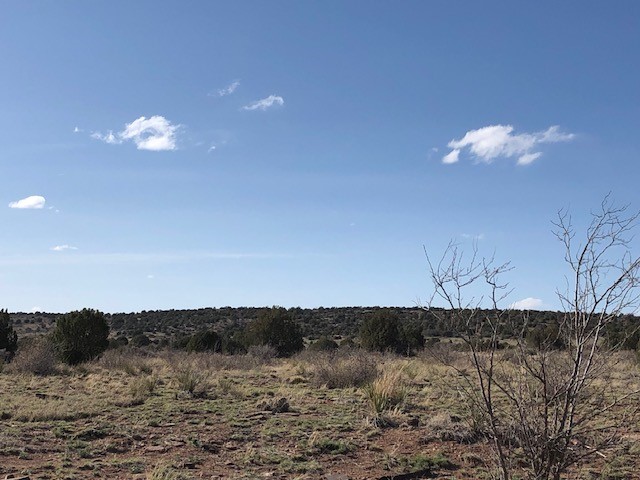 160 Acres Nm 104, Trementina, New Mexico image 48