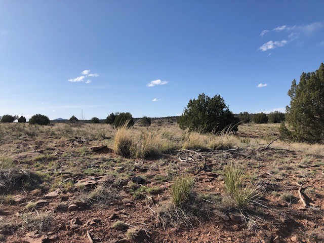 160 Acres Nm 104, Trementina, New Mexico image 46