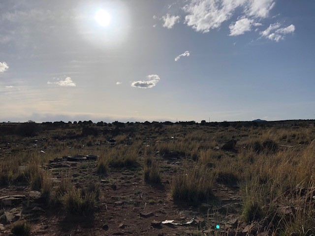 160 Acres Nm 104, Trementina, New Mexico image 50