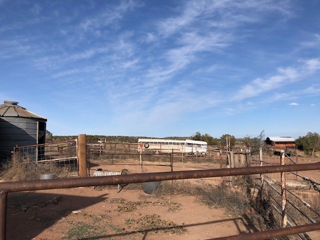 160 Acres Nm 104, Trementina, New Mexico image 29