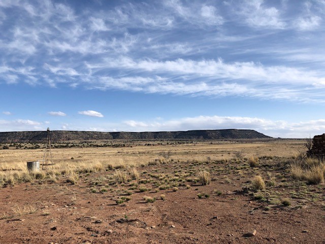 160 Acres Nm 104, Trementina, New Mexico image 49