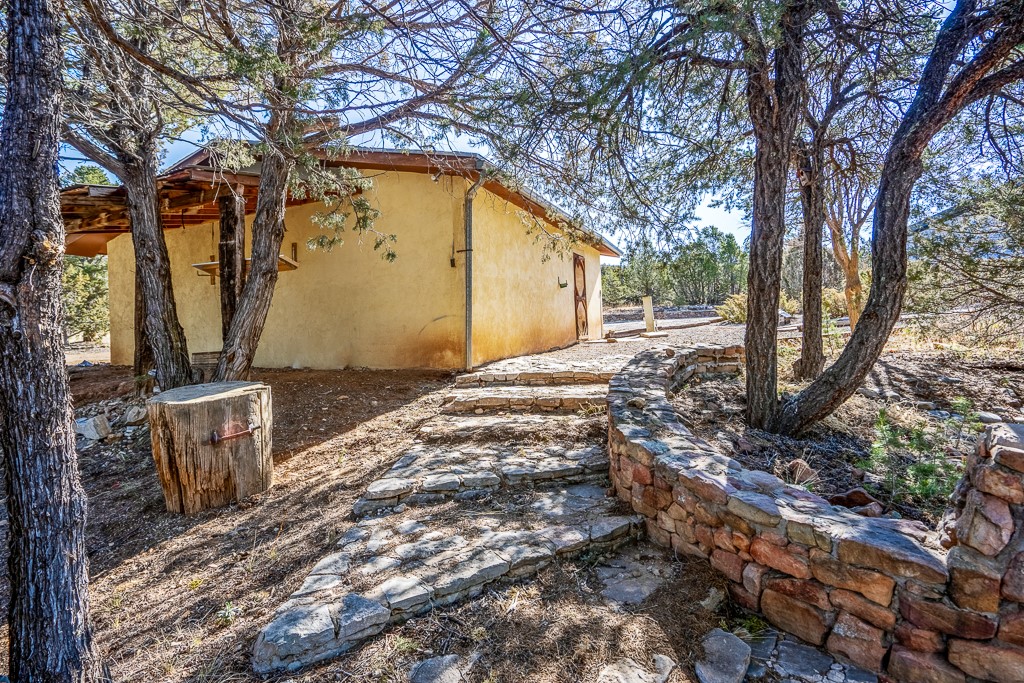 29 Vista De Dios Pass And Lot E1, Pecos, New Mexico image 33