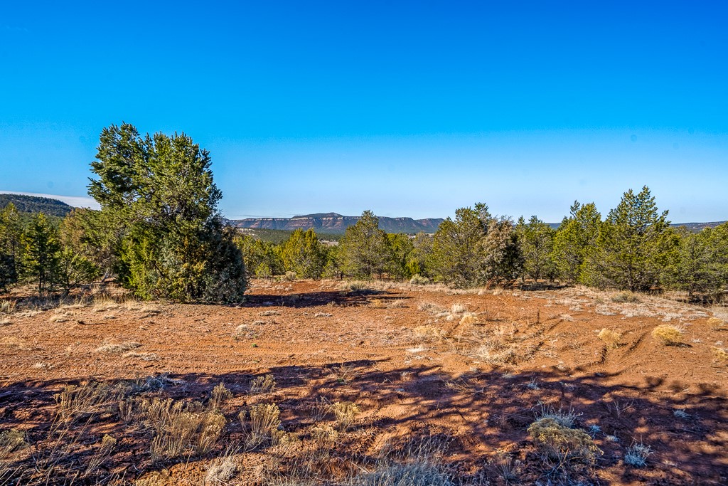 29 Vista De Dios Pass And Lot E1, Pecos, New Mexico image 38