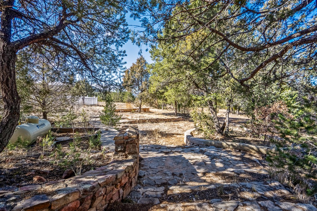 29 Vista De Dios Pass And Lot E1, Pecos, New Mexico image 46