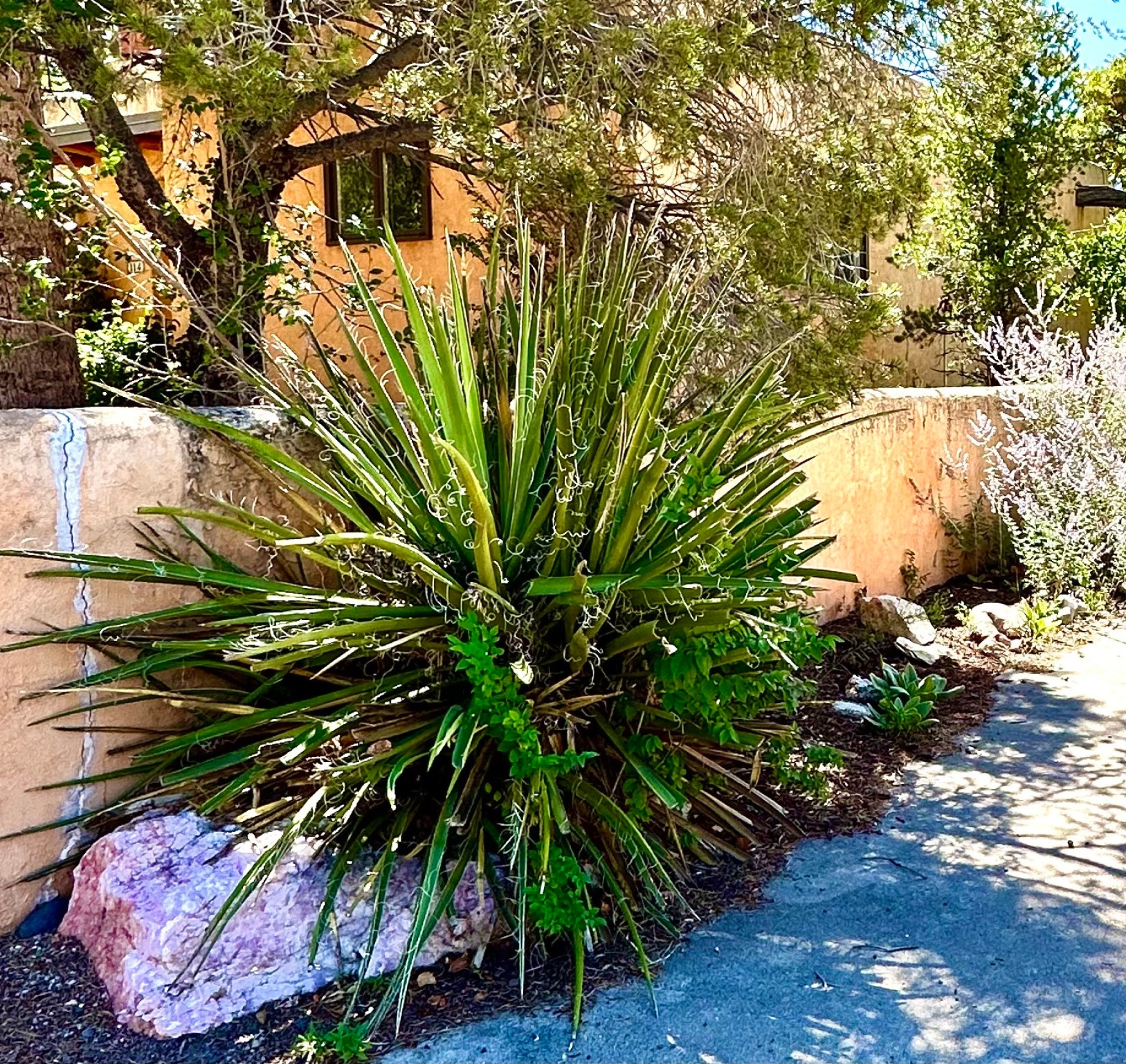 118 Camino Santiago #LOT 19, Santa Fe, New Mexico image 29