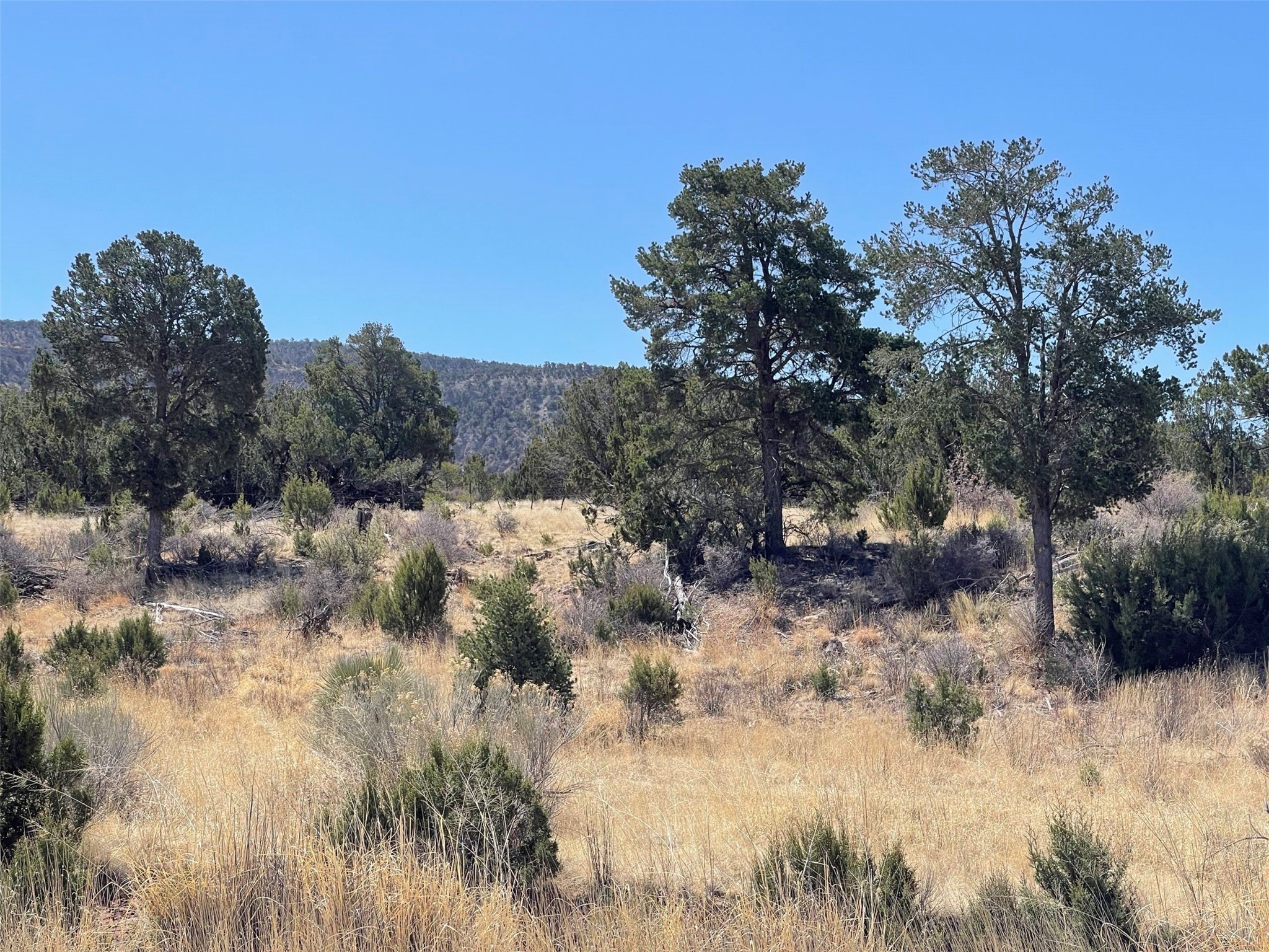 000 Mm 240 Southside Hwy 70, , New Mexico image 16