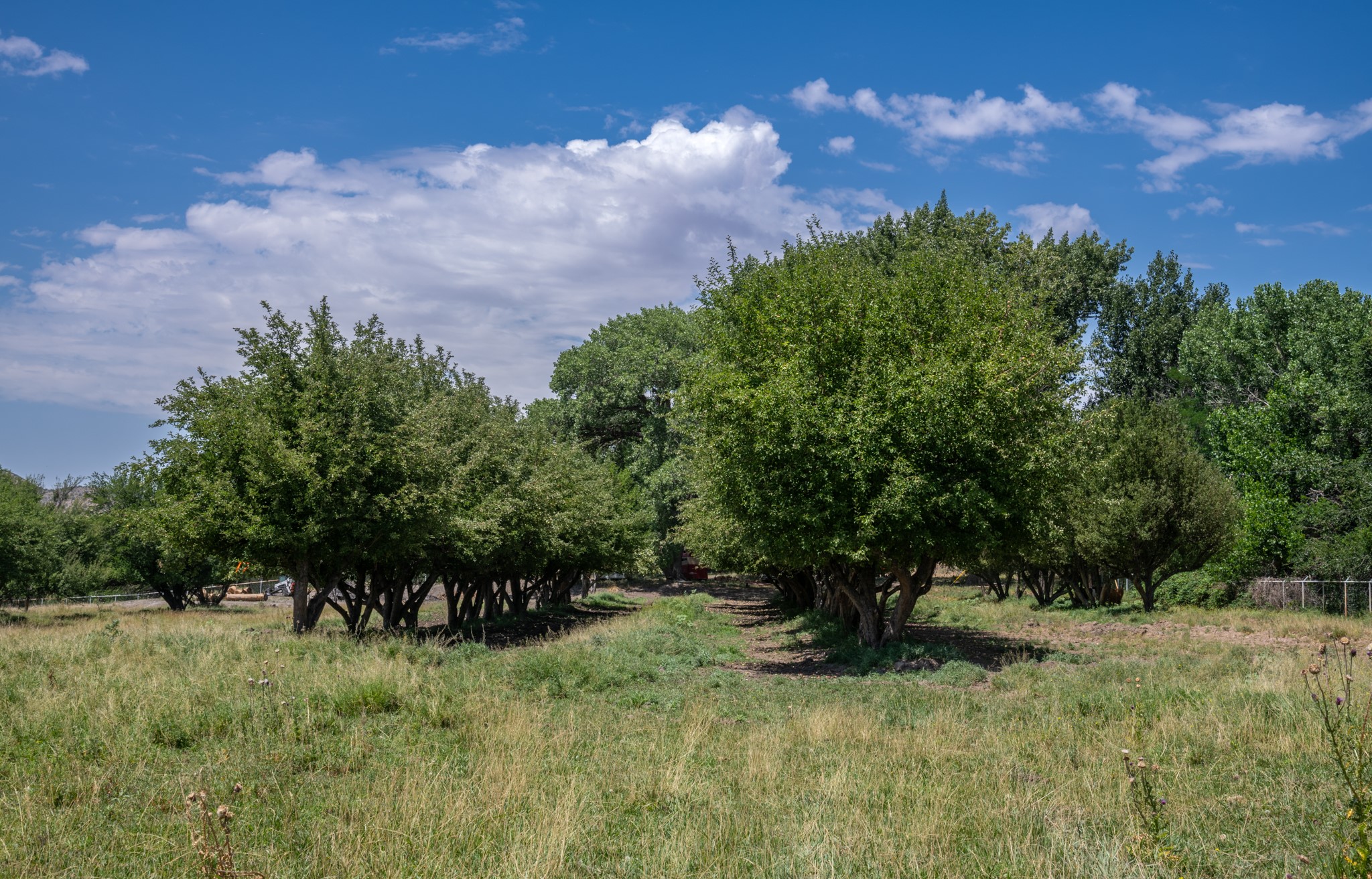 000 Mm 240 Southside Hwy 70, , New Mexico image 37