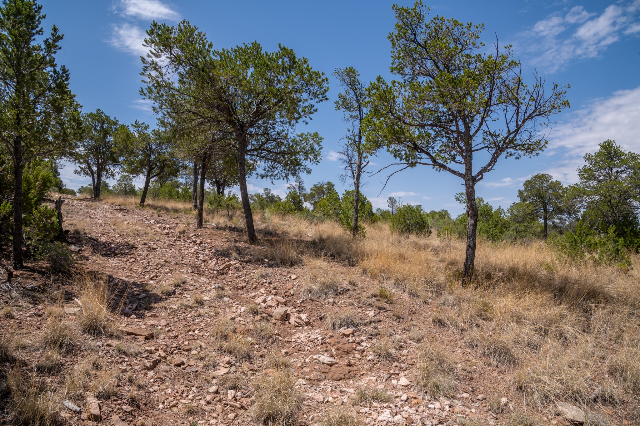 000 Mm 240 Southside Hwy 70, , New Mexico image 22