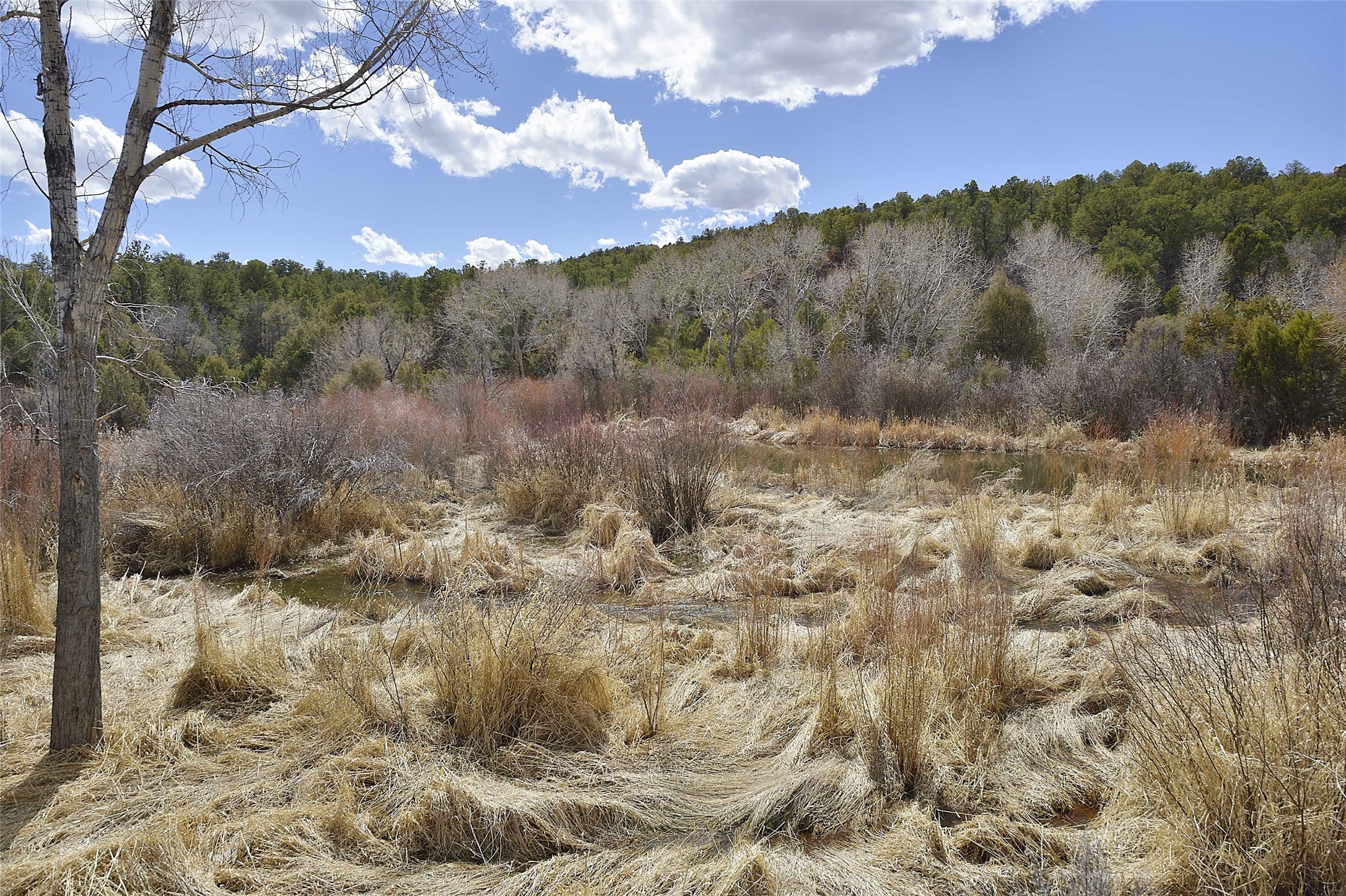 38 Johnsons Ranch Rd, Santa Fe, New Mexico image 24