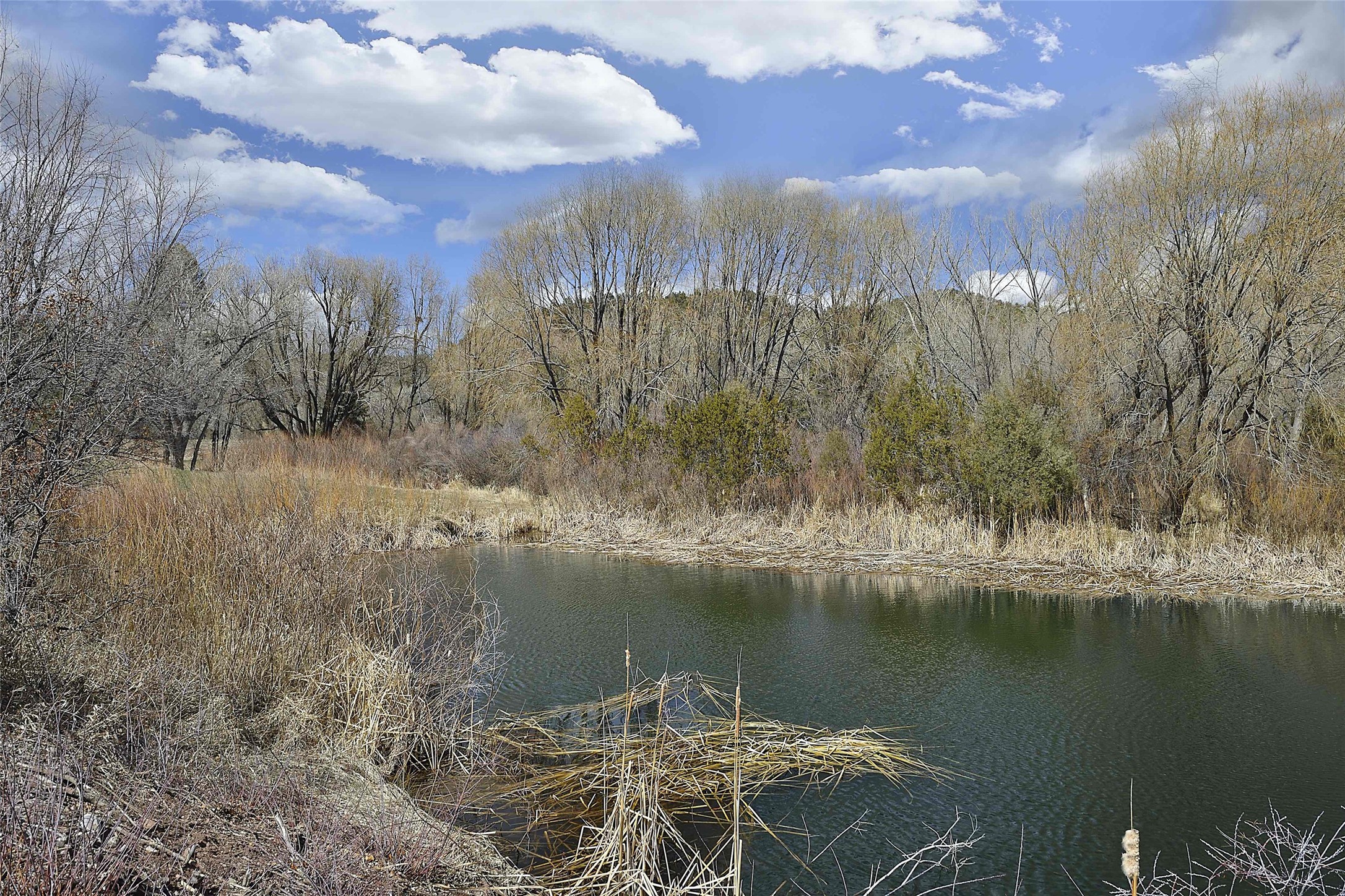 38 Johnsons Ranch Rd, Santa Fe, New Mexico image 23