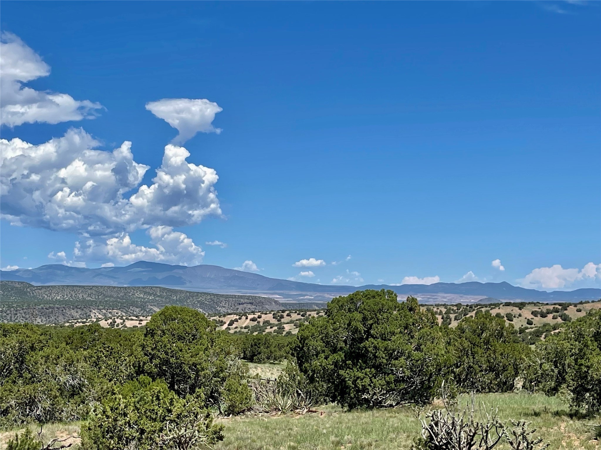 3 Campo Del Viento #62, Santa Fe, New Mexico image 3