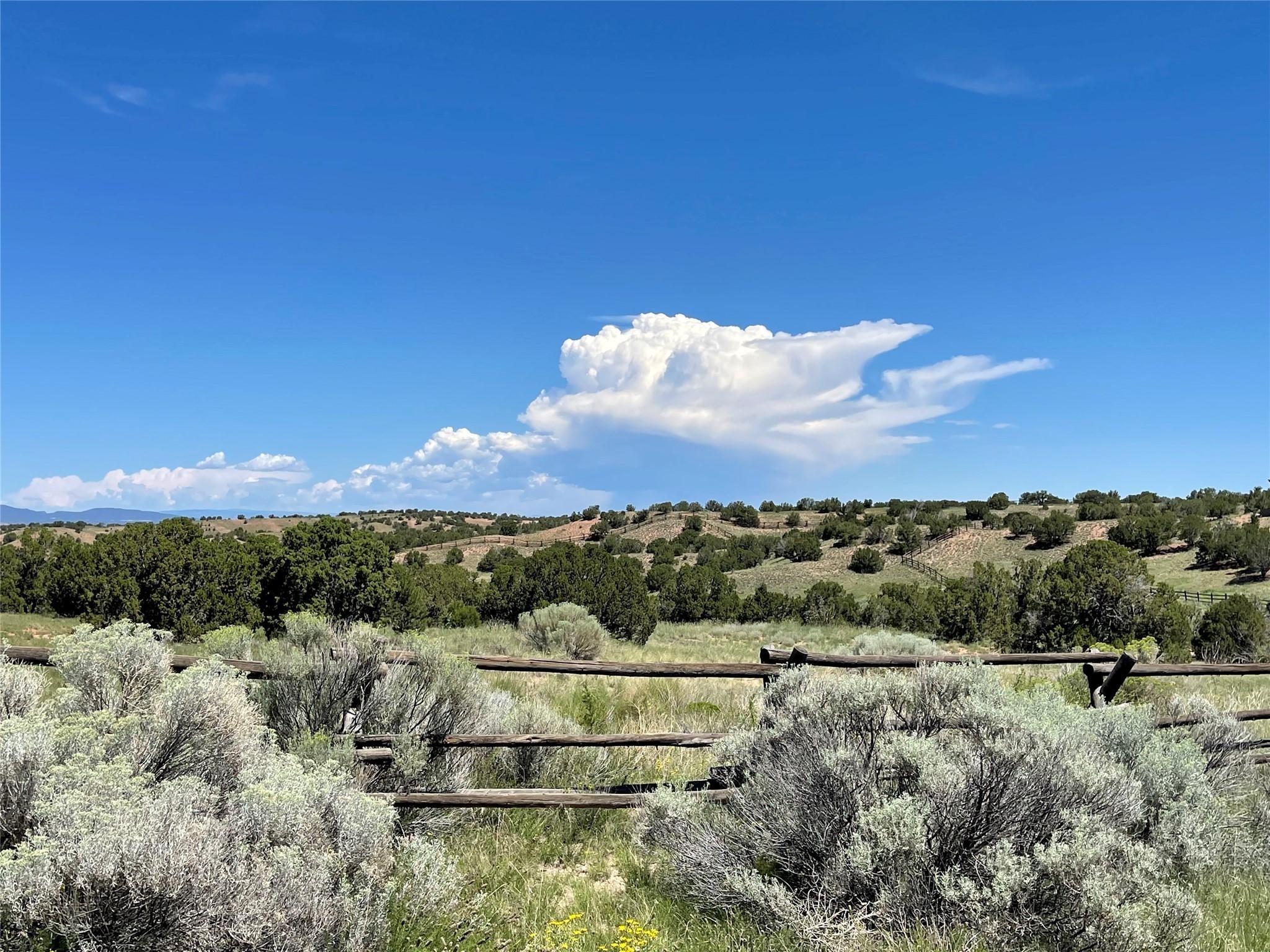 3 Campo Del Viento #62, Santa Fe, New Mexico image 1