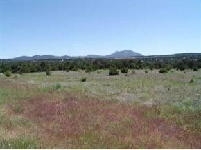 22 Nature Point Drive Dr, Tijeras, New Mexico image 1
