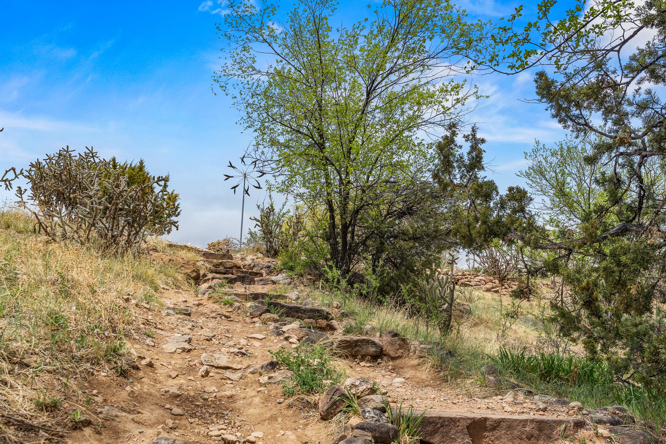 Santa Fe, New Mexico 87501, United States, 2 Bedrooms Bedrooms, ,2 BathroomsBathrooms,Residential,Active,126350