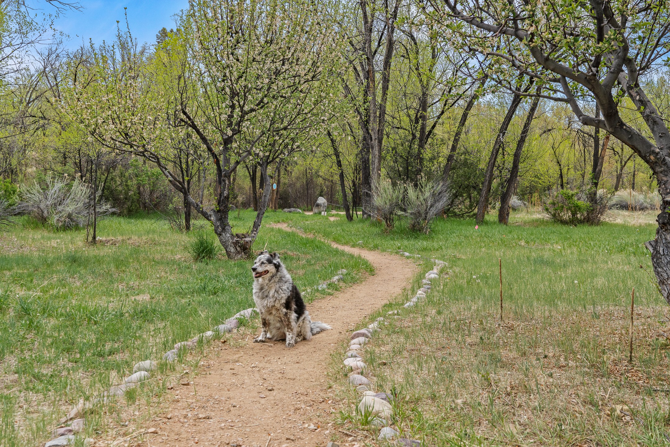 Santa Fe, New Mexico 87501, United States, 2 Bedrooms Bedrooms, ,2 BathroomsBathrooms,Residential,Active,126350