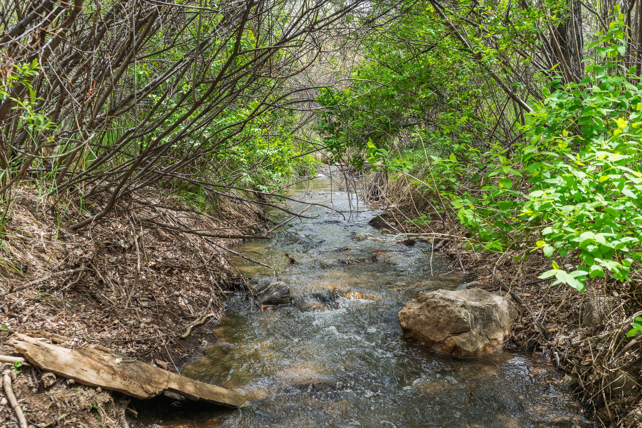 Santa Fe, New Mexico 87501, United States, 2 Bedrooms Bedrooms, ,2 BathroomsBathrooms,Residential,Active,126350