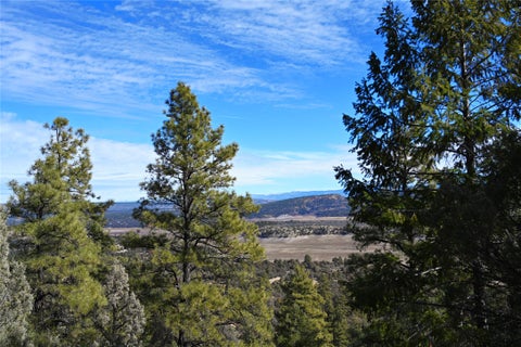 Vacant Land For Sale - 00 Gretchen Dr Cr 322 #UNIT D-1 LOT 40<br/> Rio Arriba County, Tierra Amarilla, NM 87575