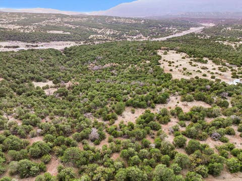 Vacant Land For Sale - 240 Sedillo Hill Rd Rd<br/> Tijeras, NM 87059