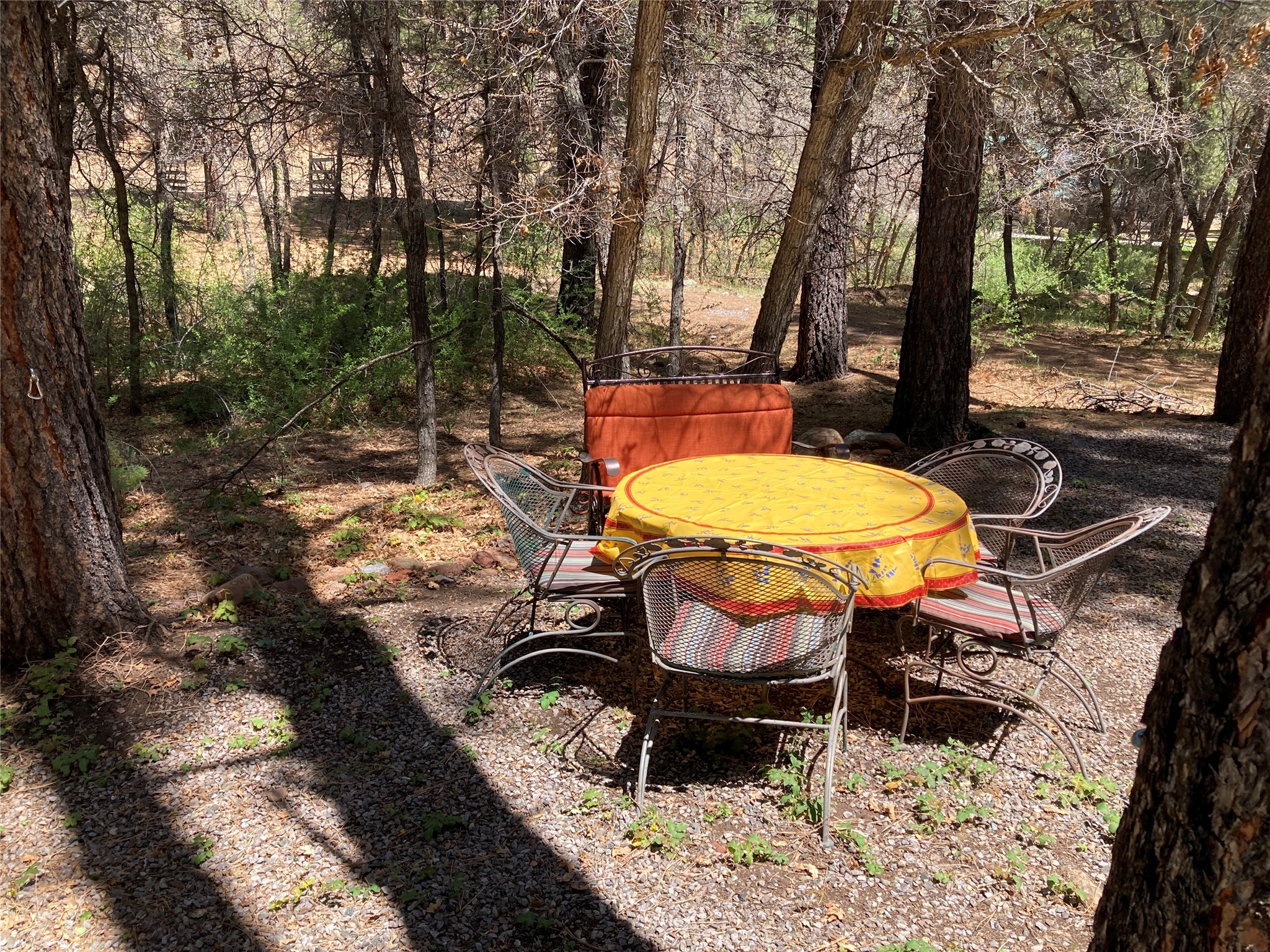 672 State Road 512, Chama, New Mexico image 17