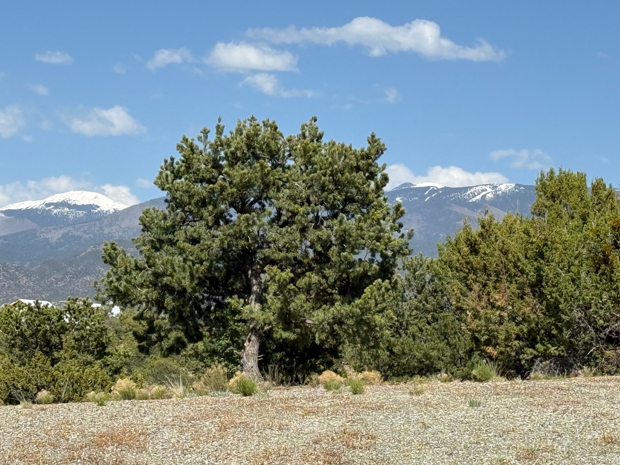 4 Pinon Ridge Lane, Santa Fe, New Mexico image 2